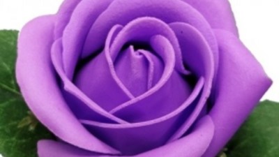 부케원데이💐 최저가 득템 후기 & 나만의 꿀팁 대방출!